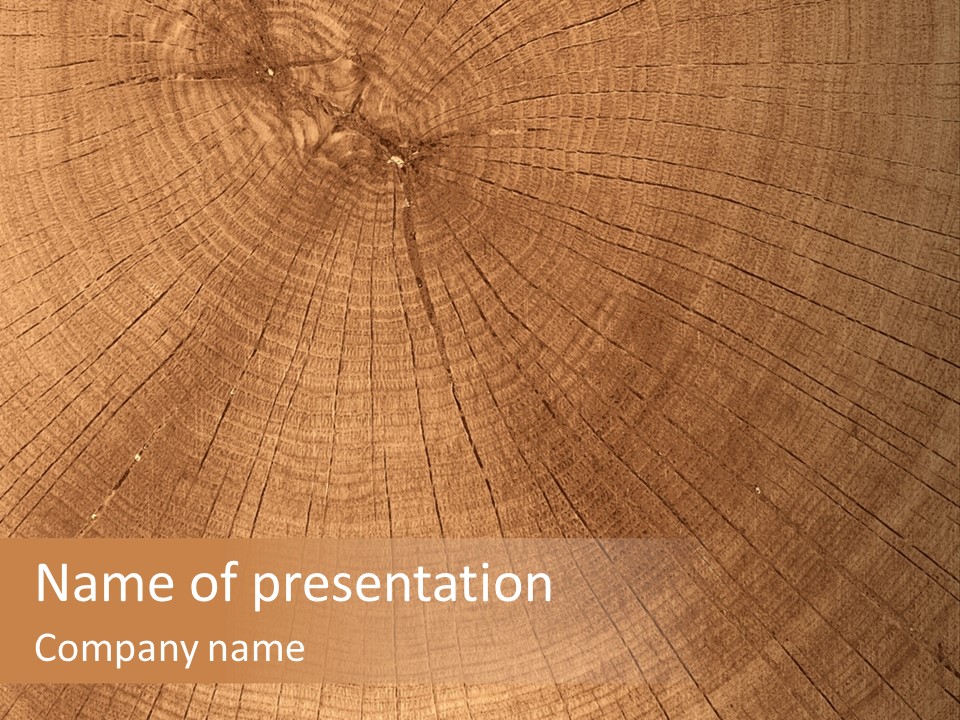 Trunk Process Section PowerPoint Template