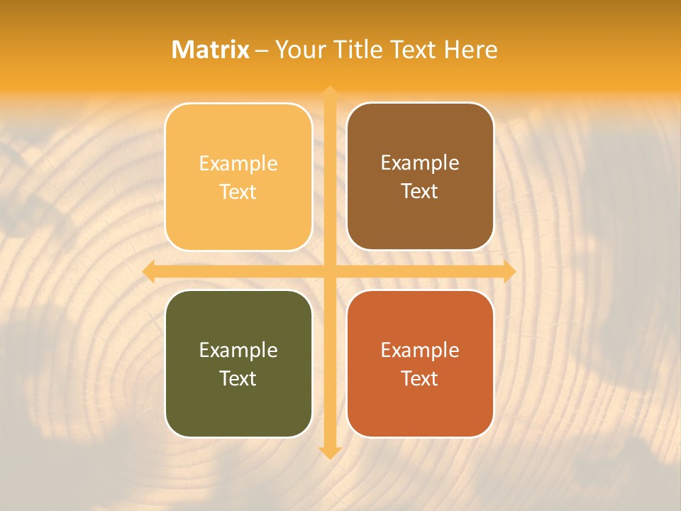 Cut Circle Process PowerPoint Template