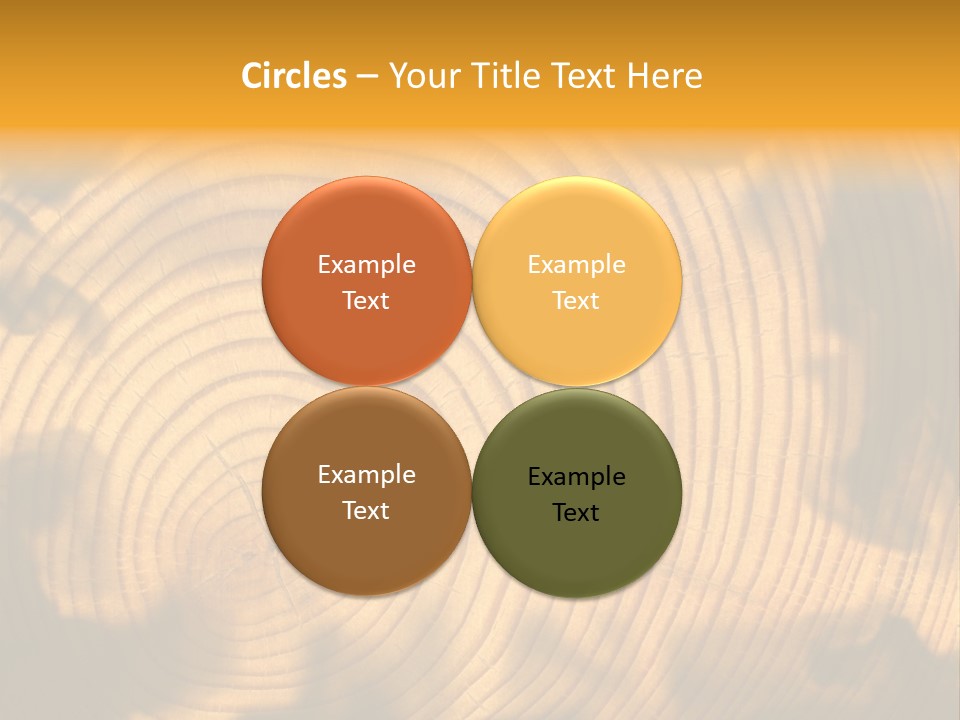 Cut Circle Process PowerPoint Template