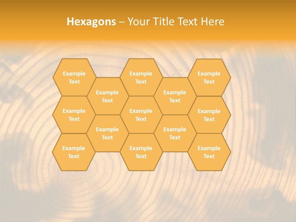 Cut Circle Process PowerPoint Template