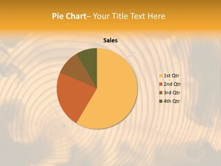 Cut Circle Process PowerPoint Template