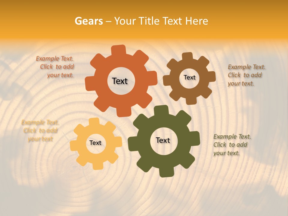 Cut Circle Process PowerPoint Template
