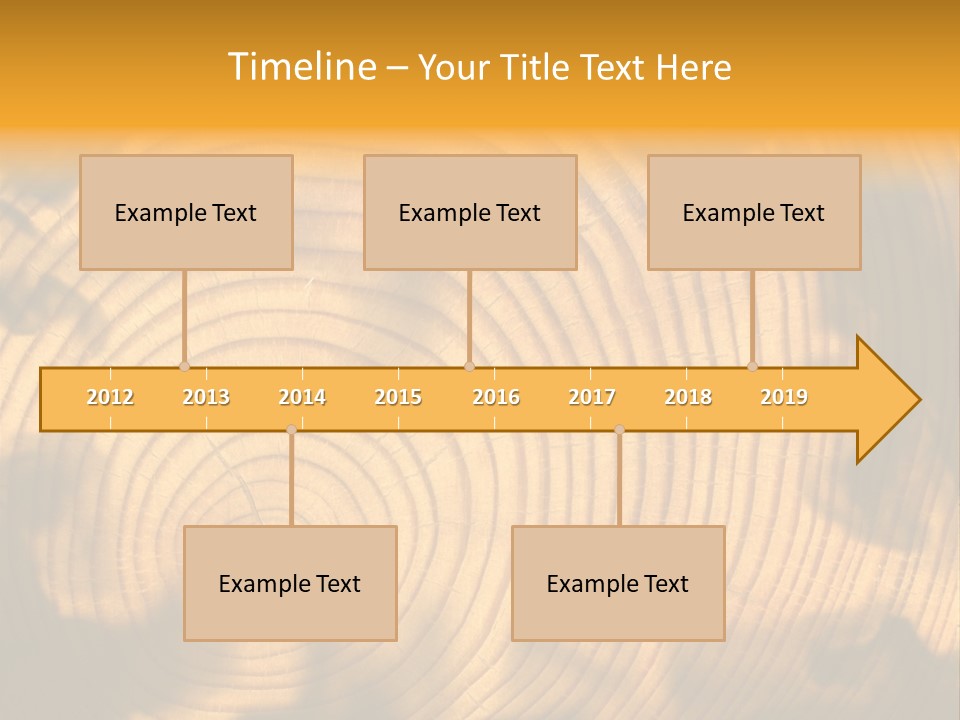 Cut Circle Process PowerPoint Template
