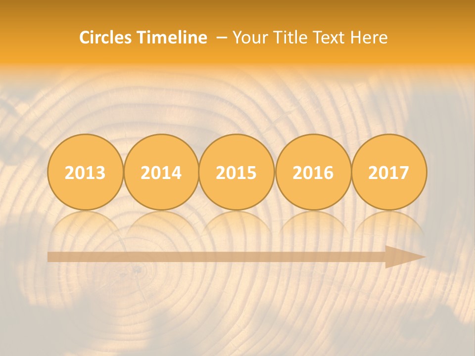 Cut Circle Process PowerPoint Template