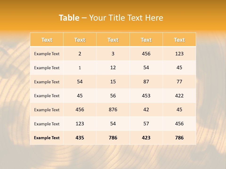 Cut Circle Process PowerPoint Template
