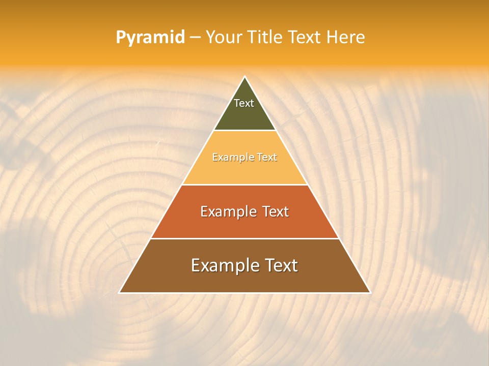 Cut Circle Process PowerPoint Template