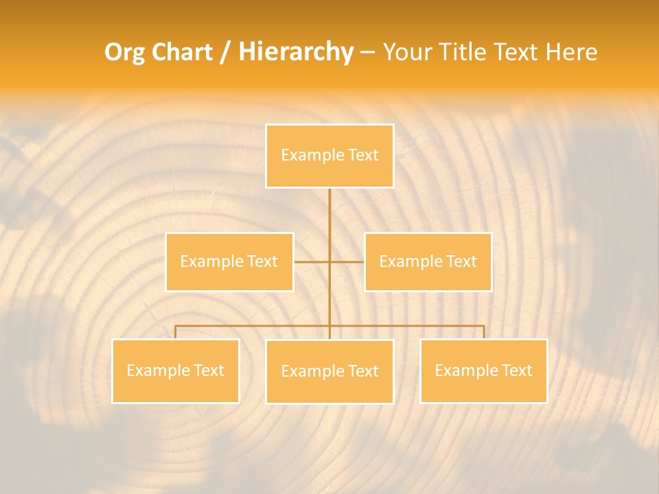 Cut Circle Process PowerPoint Template