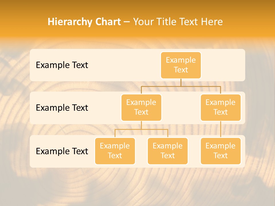Cut Circle Process PowerPoint Template