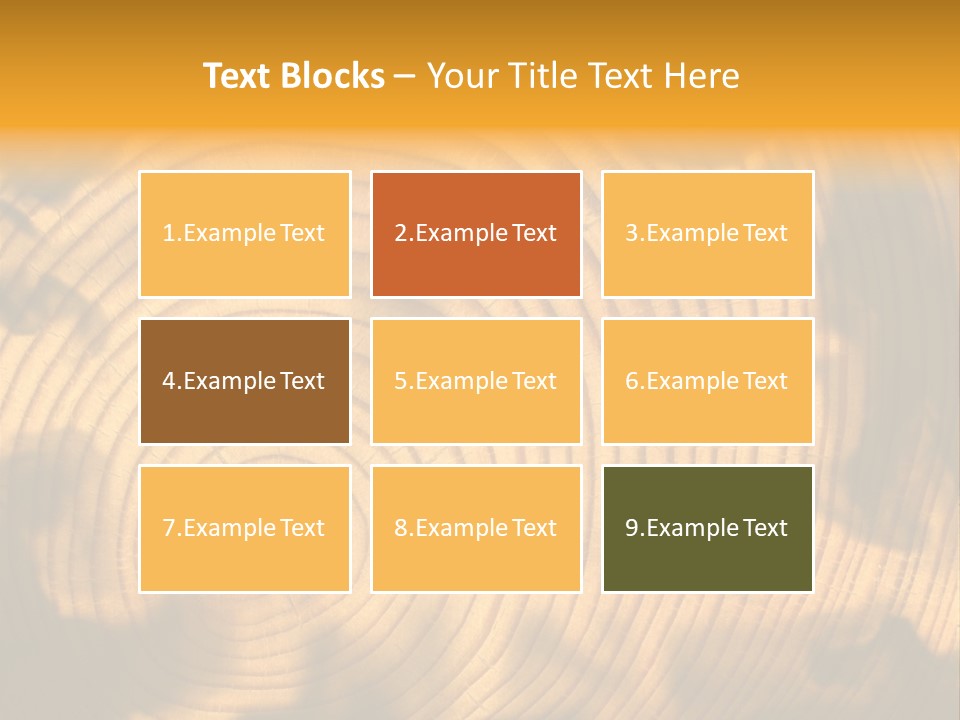 Cut Circle Process PowerPoint Template