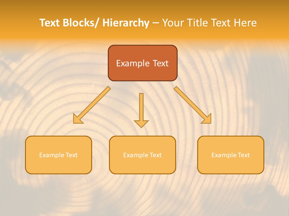 Cut Circle Process PowerPoint Template
