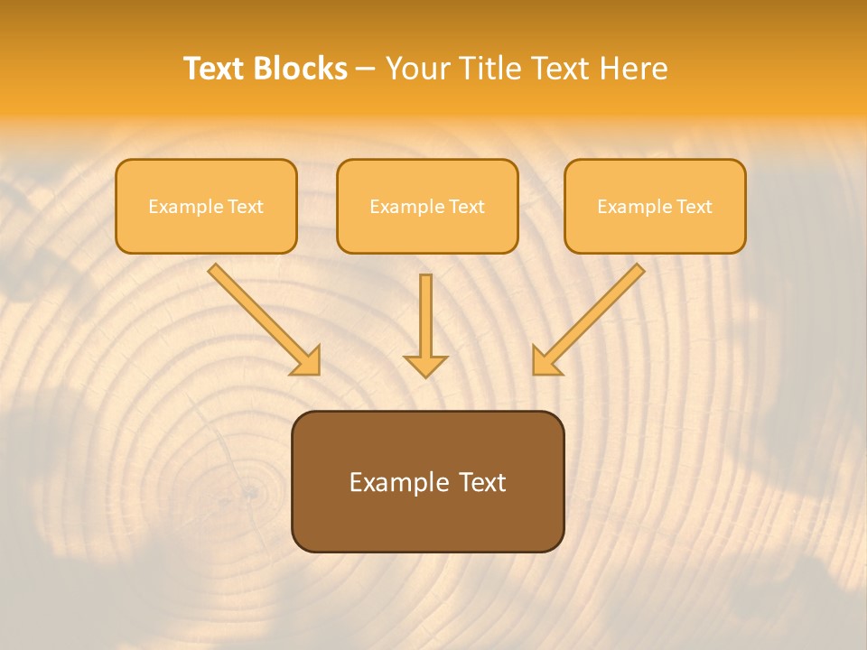 Cut Circle Process PowerPoint Template