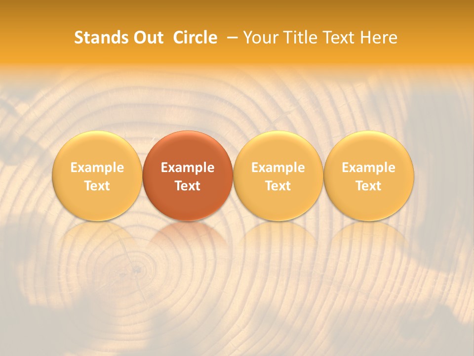 Cut Circle Process PowerPoint Template