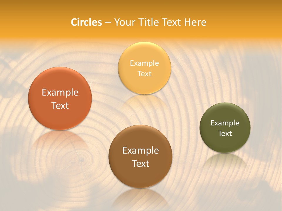 Cut Circle Process PowerPoint Template