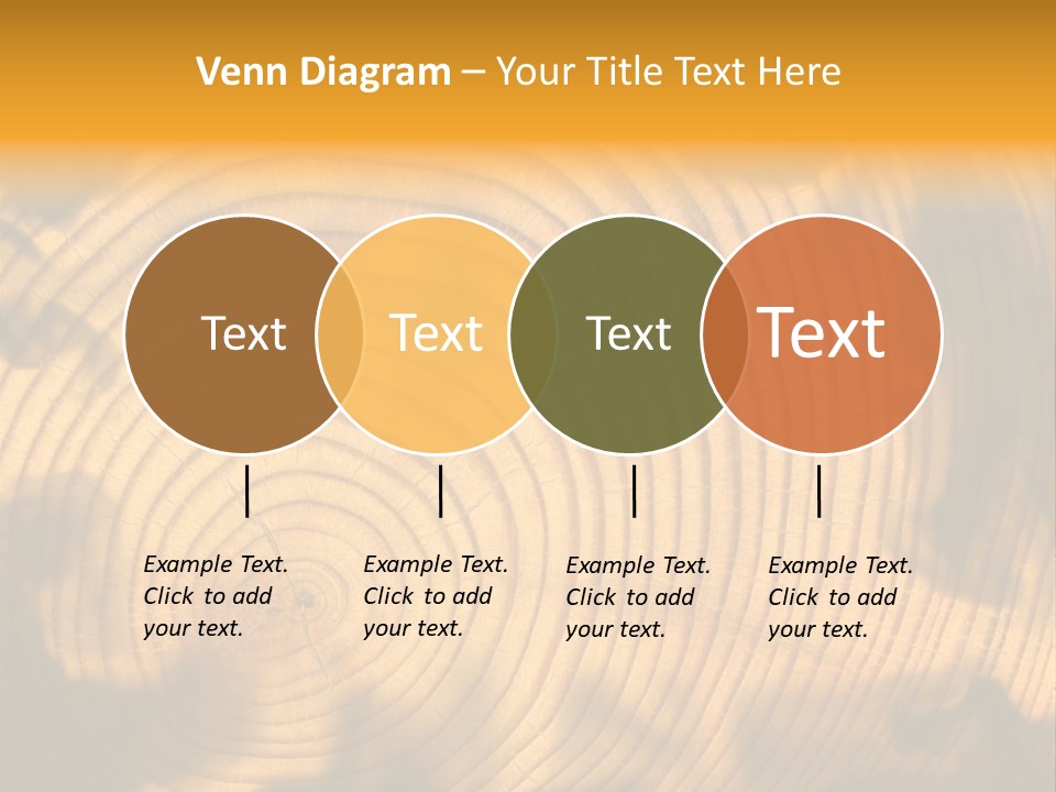 Cut Circle Process PowerPoint Template