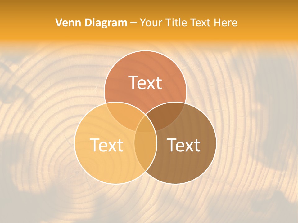 Cut Circle Process PowerPoint Template