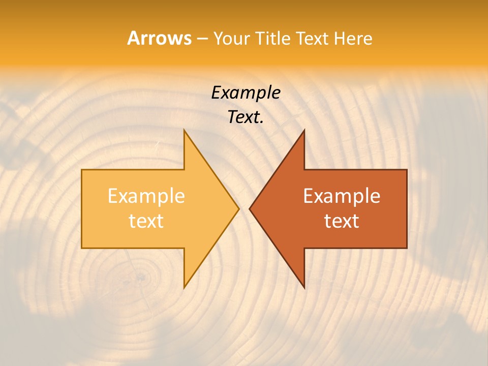 Cut Circle Process PowerPoint Template