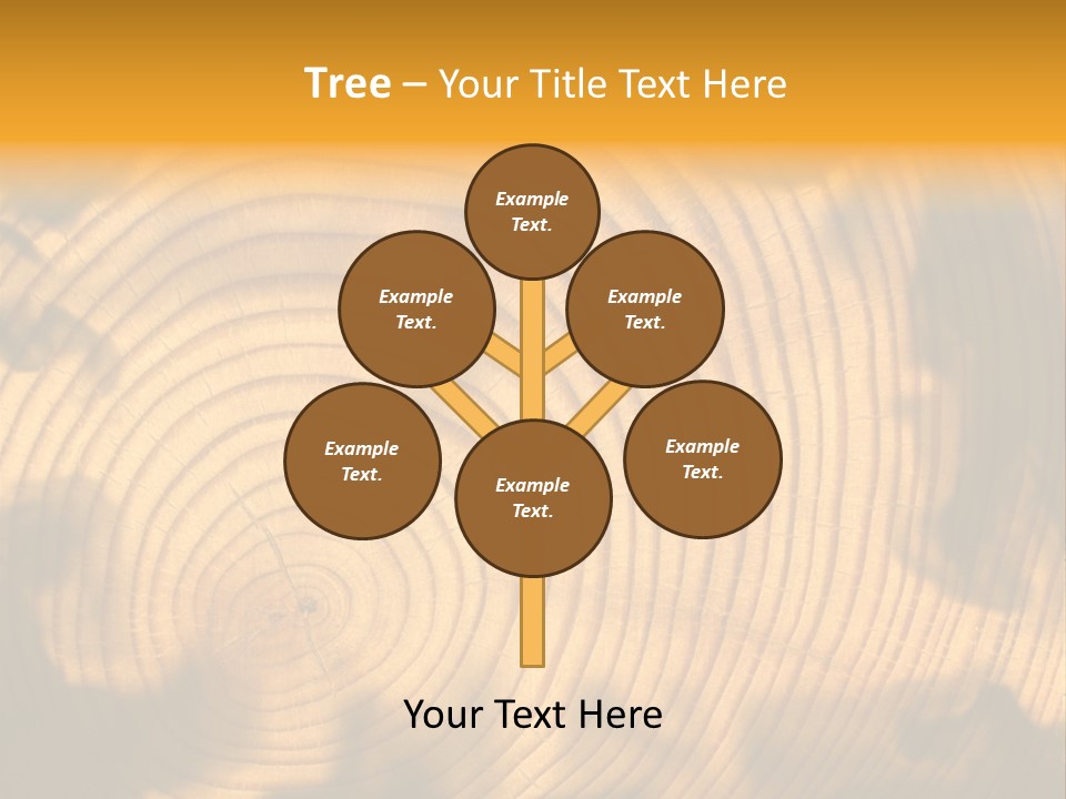Cut Circle Process PowerPoint Template