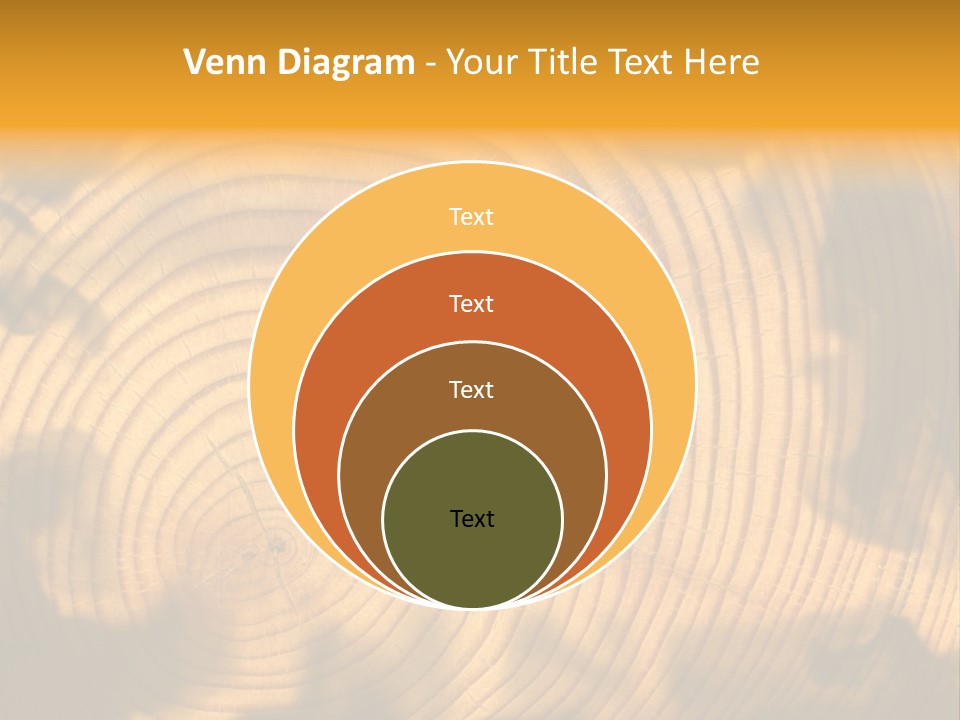 Cut Circle Process PowerPoint Template