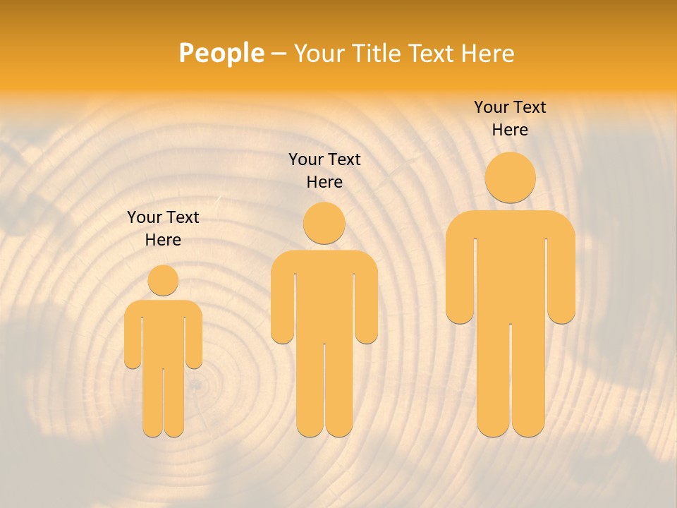Cut Circle Process PowerPoint Template