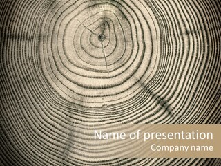 Circle Wooden Backgrounds PowerPoint Template