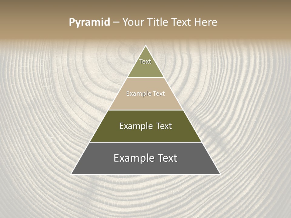 Circle Wooden Backgrounds PowerPoint Template