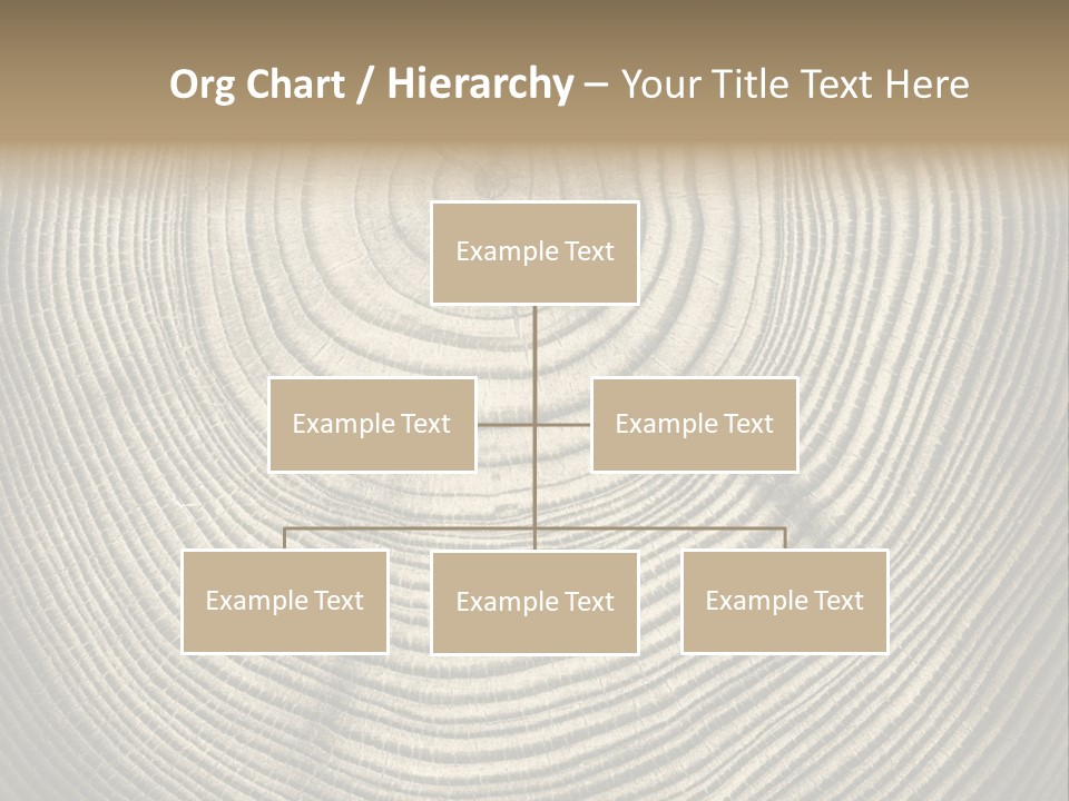 Circle Wooden Backgrounds PowerPoint Template