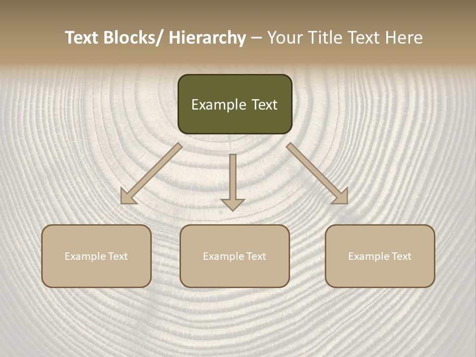 Circle Wooden Backgrounds PowerPoint Template