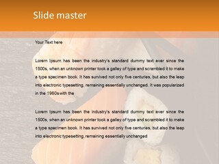 Sushi East Eat PowerPoint Template