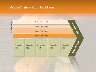 Sushi East Eat PowerPoint Template