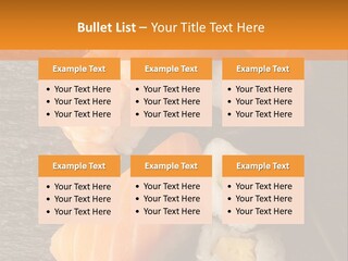 Sushi East Eat PowerPoint Template