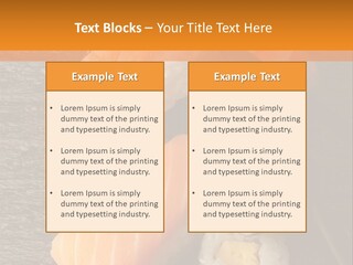 Sushi East Eat PowerPoint Template