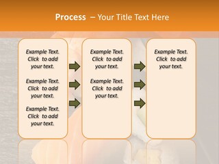 Sushi East Eat PowerPoint Template