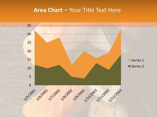 Sushi East Eat PowerPoint Template