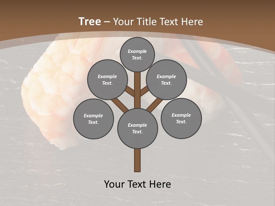Color Roll Isolate PowerPoint Template