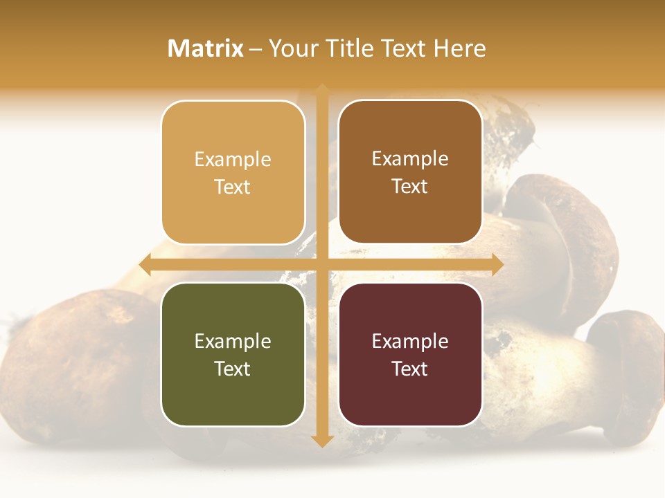 Cep Soup Cheese PowerPoint Template