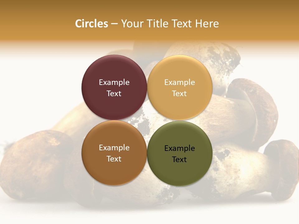 Cep Soup Cheese PowerPoint Template
