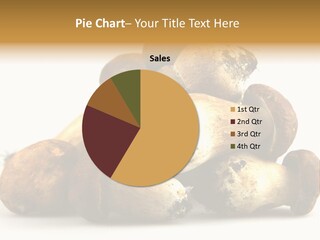 Cep Soup Cheese PowerPoint Template