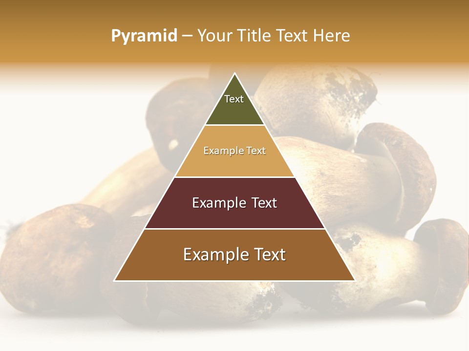 Cep Soup Cheese PowerPoint Template