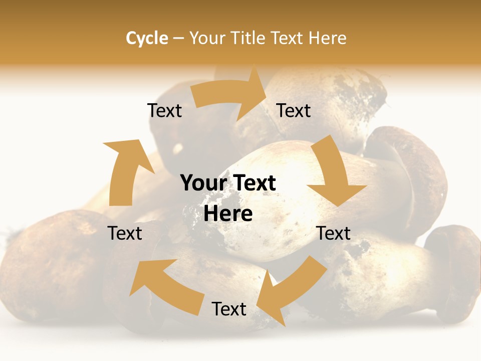 Cep Soup Cheese PowerPoint Template