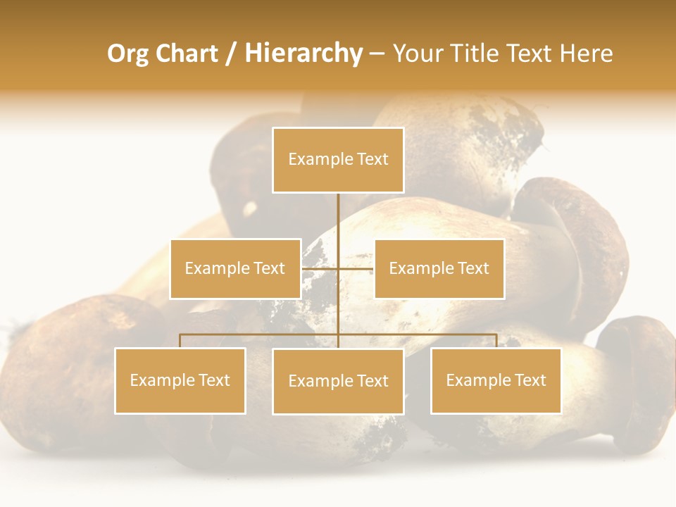 Cep Soup Cheese PowerPoint Template