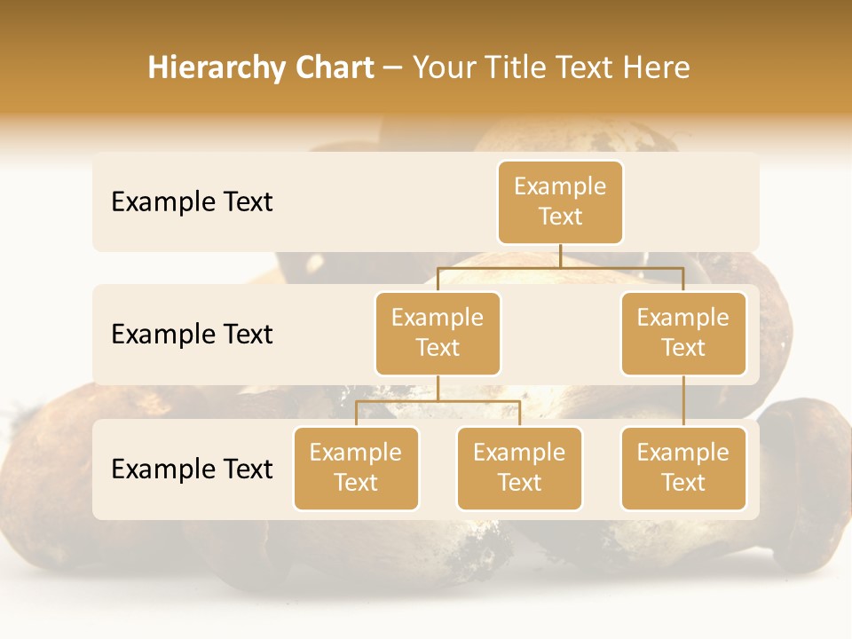 Cep Soup Cheese PowerPoint Template
