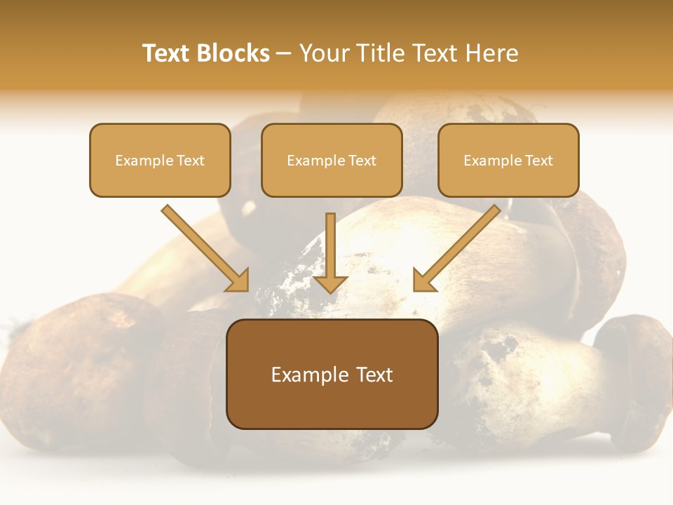 Cep Soup Cheese PowerPoint Template