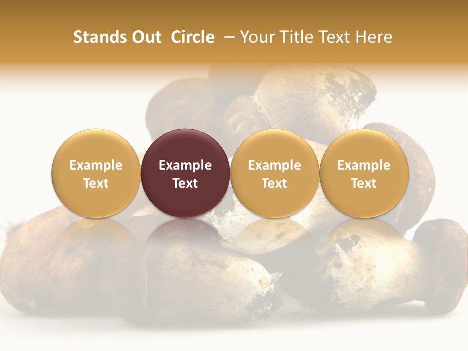 Cep Soup Cheese PowerPoint Template