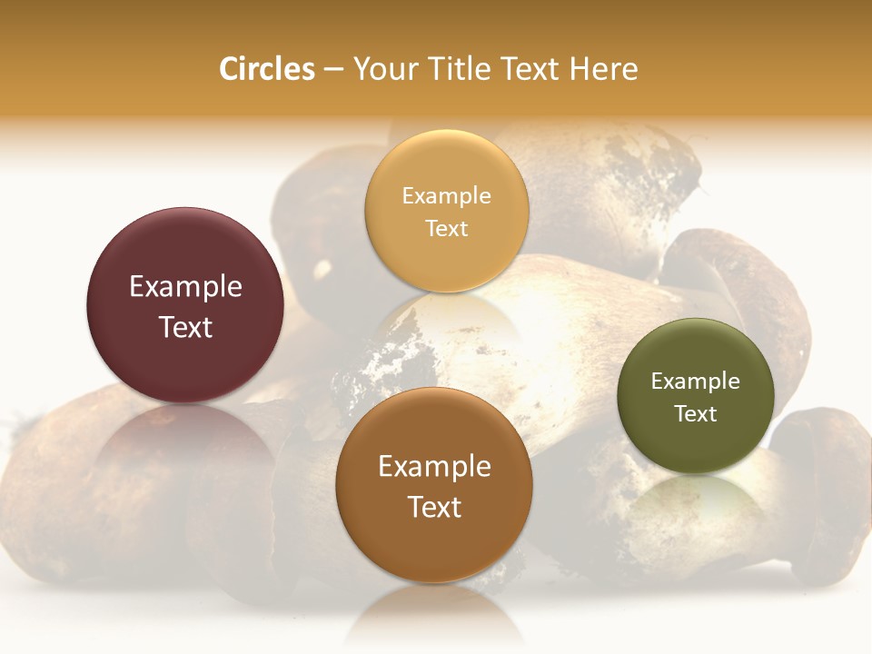 Cep Soup Cheese PowerPoint Template