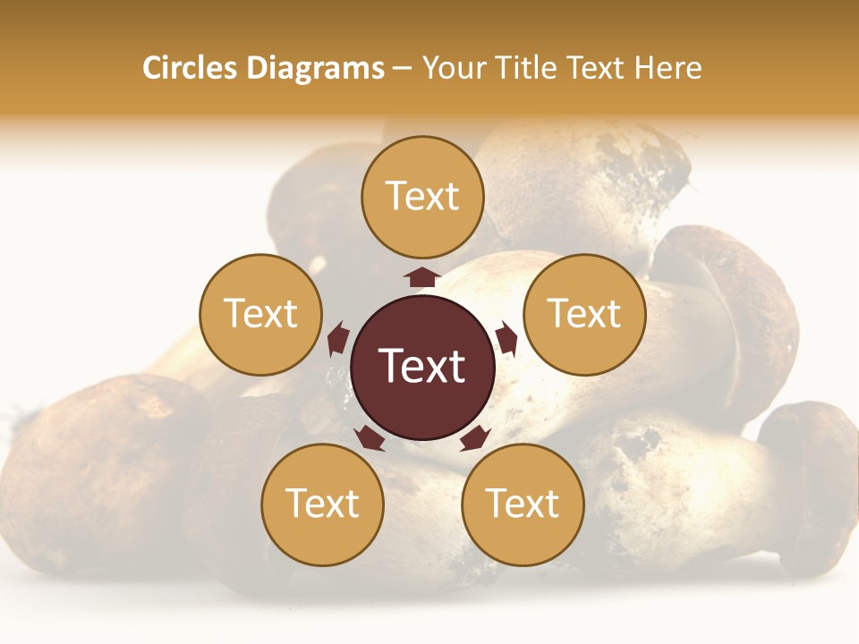 Cep Soup Cheese PowerPoint Template