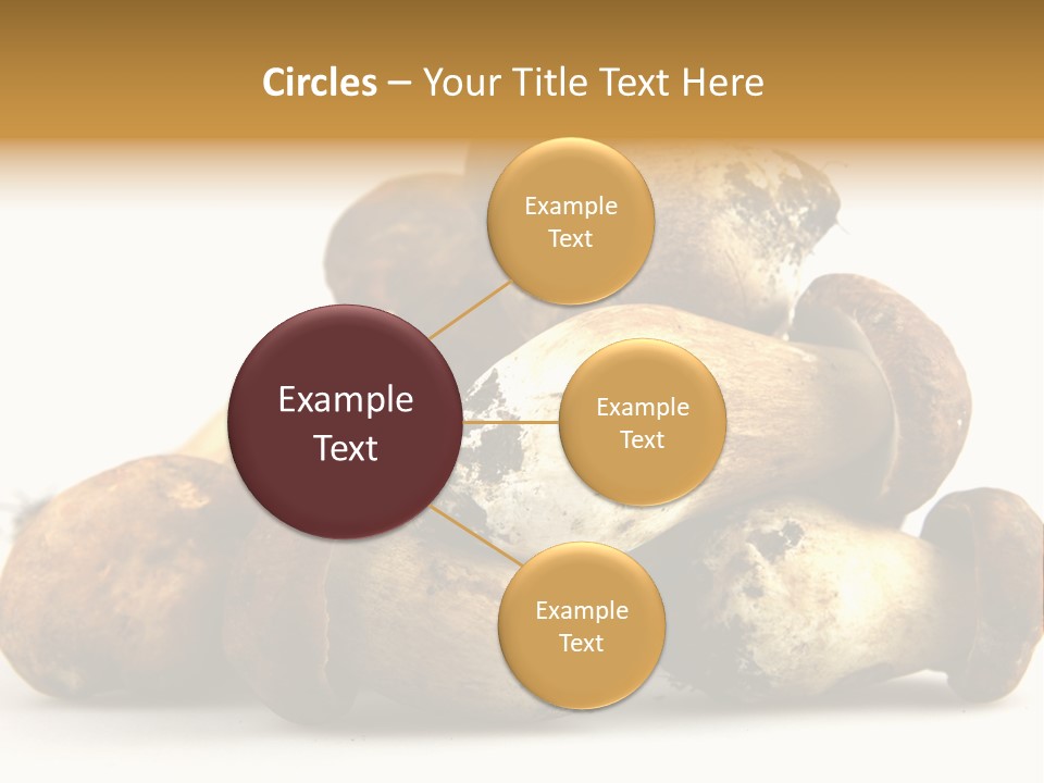 Cep Soup Cheese PowerPoint Template
