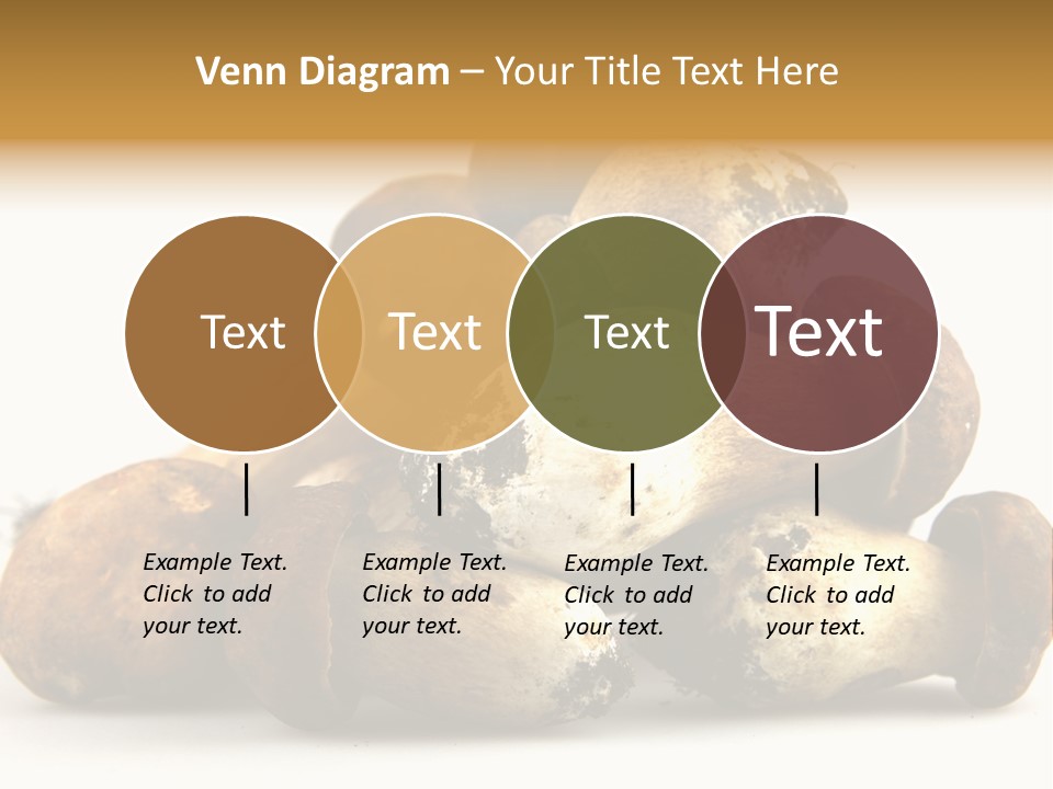 Cep Soup Cheese PowerPoint Template