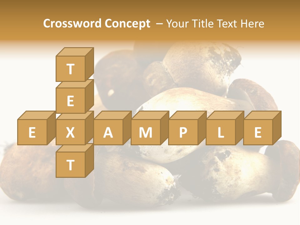 Cep Soup Cheese PowerPoint Template