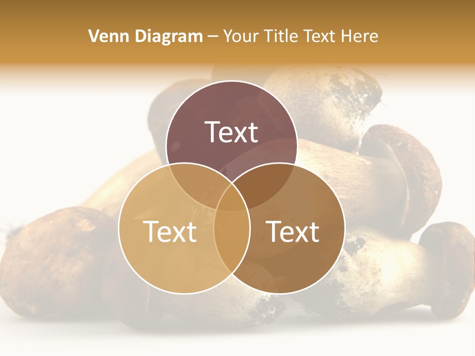 Cep Soup Cheese PowerPoint Template