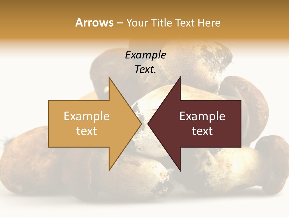 Cep Soup Cheese PowerPoint Template